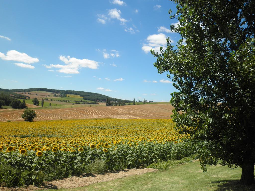 Domaine De La Vigne Cadalen Exterior photo